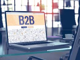 B2B Website